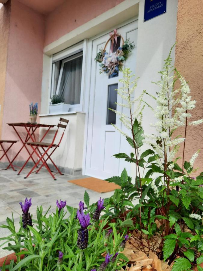 Apartmani Venium Kőrös Kültér fotó