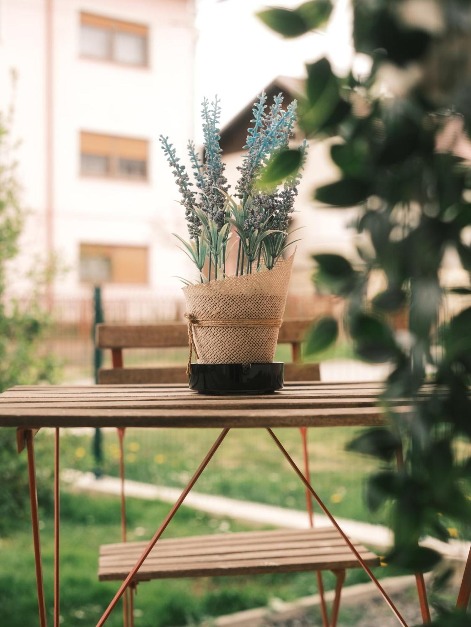 Apartmani Venium Kőrös Kültér fotó