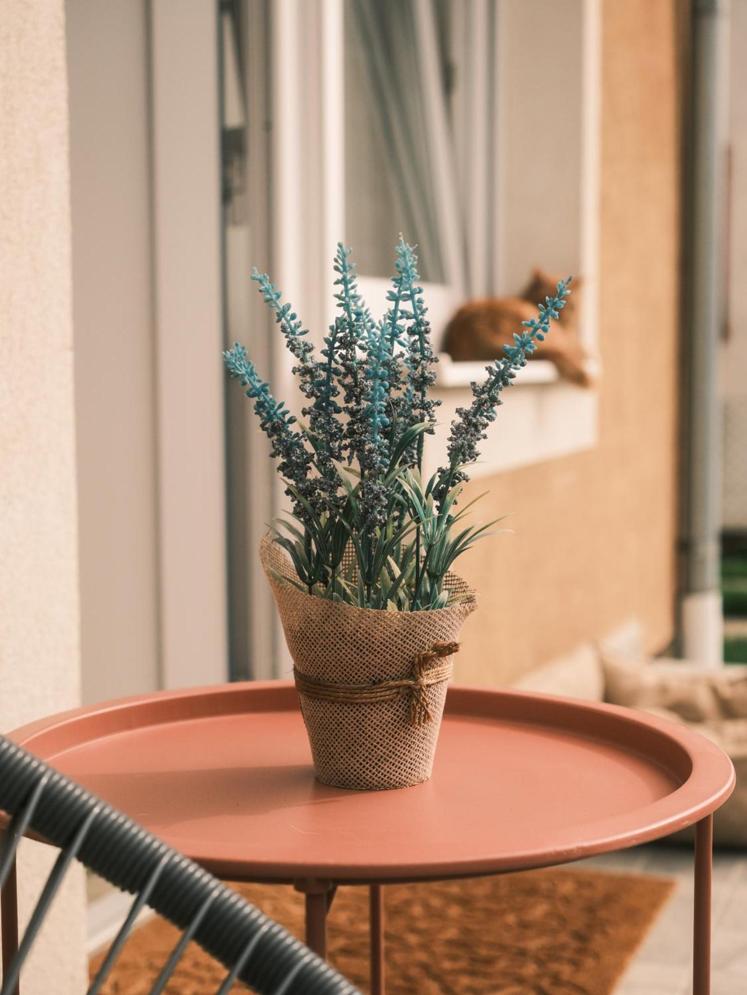 Apartmani Venium Kőrös Kültér fotó